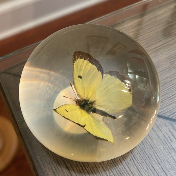 TARAX INFINITY PRODUCTS Yellow Butterfly PAPERWEIGHT, HANDCRAFTED IN CANADA - Picture 15 of 17
